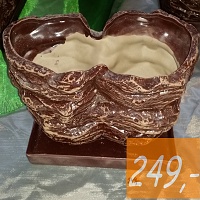Andělé Ajá